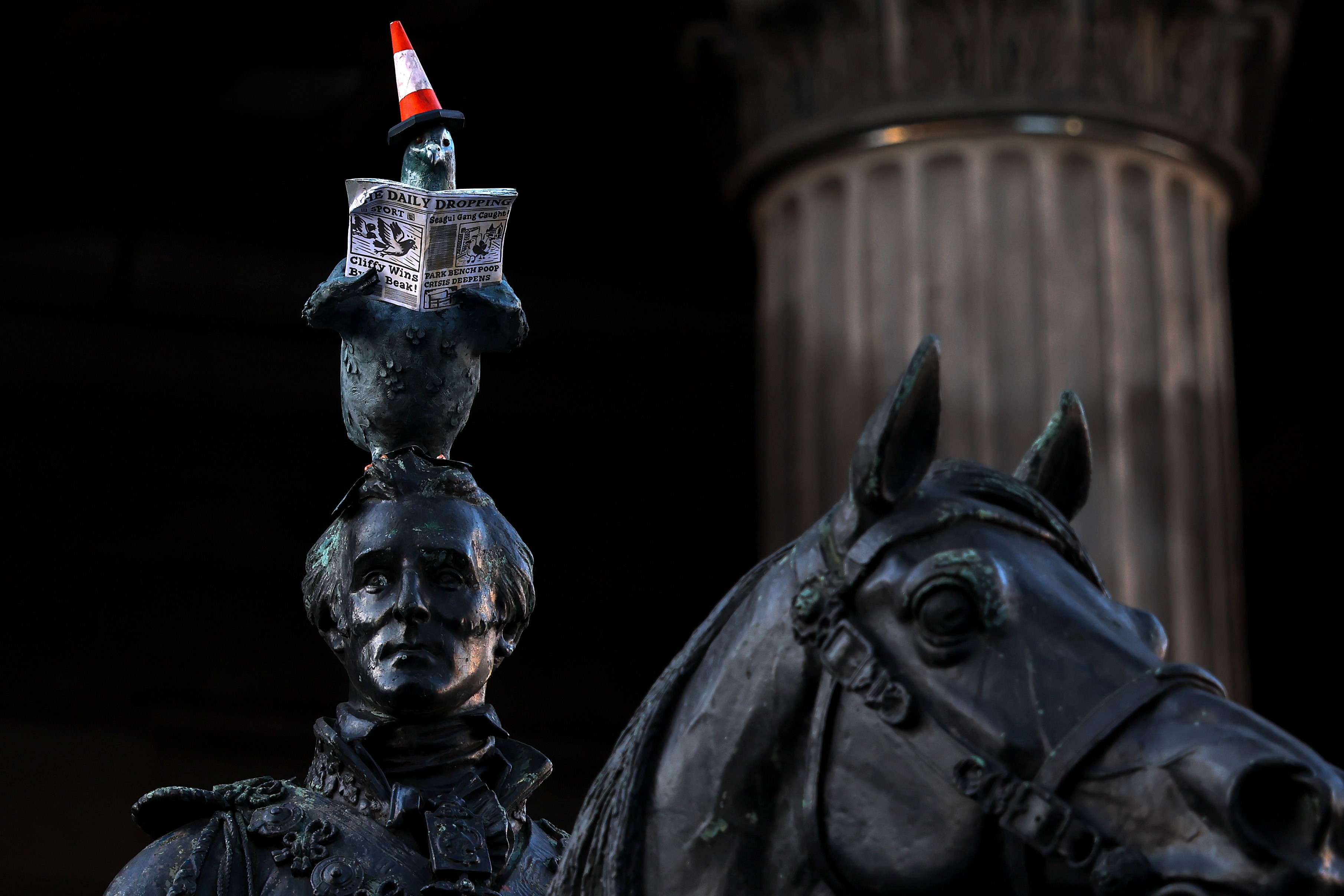 A historic statue of a man seated on a horse, with an additional artwork recently attached to the man's head, depicting a pigeon wearing an orange and white traffic cone while reading a small newspaper