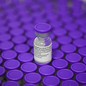 A Pfizer COVID-vaccine vial with a purple cap, on top of a large array of other Pfizer vials. The vial on top is clear; the rest of the image is out of focus.