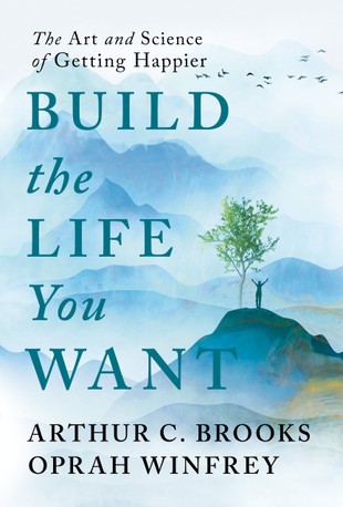 Book cover of build the life you want