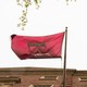 An image of Harvard's flag