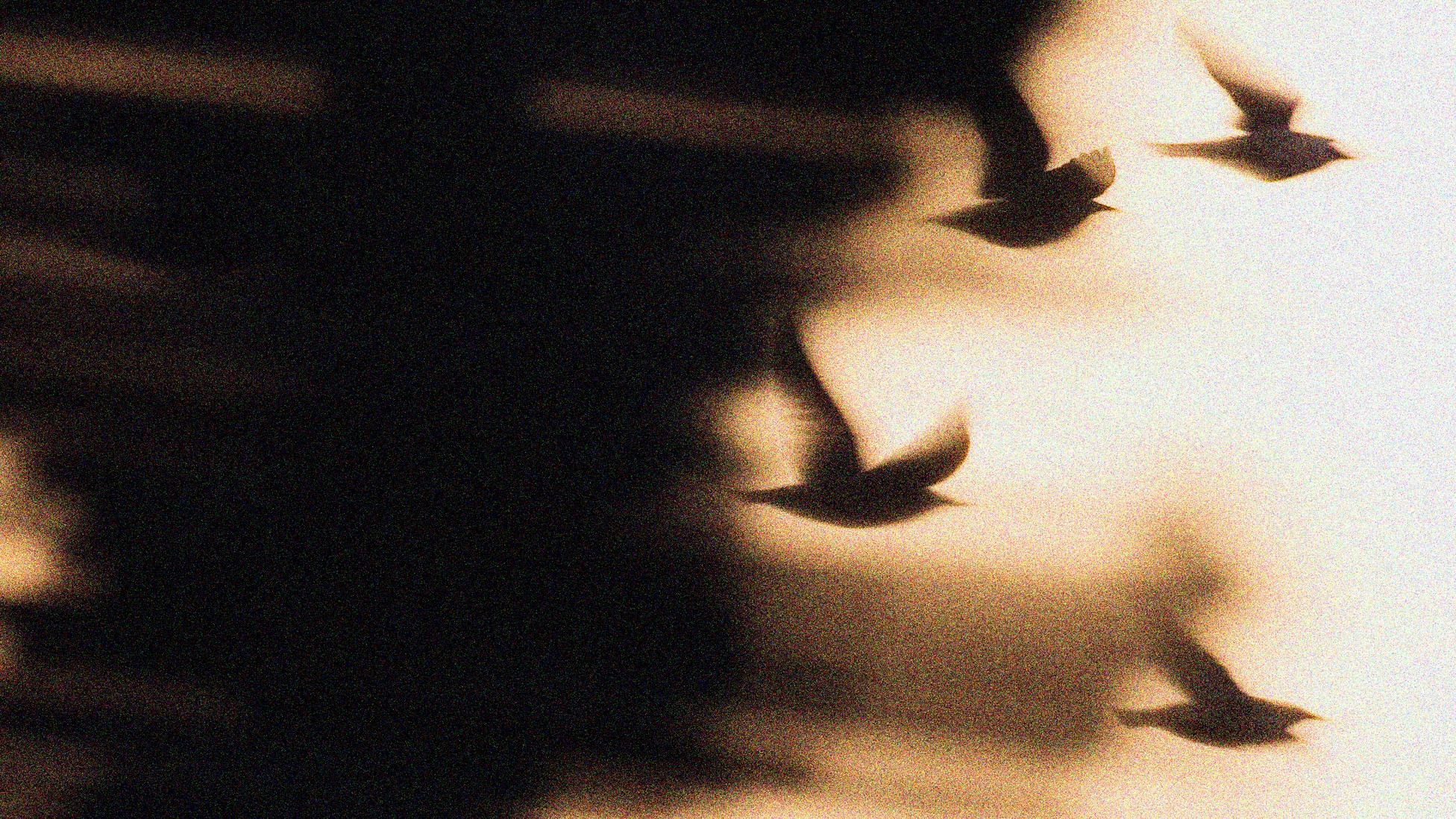 A Lesson About Living From a Survivor of Suicide - The Atlantic
