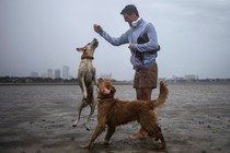 A man plays with two dogs in the drained bed of Hillsborough Bay with the Tampa skyline in the background.