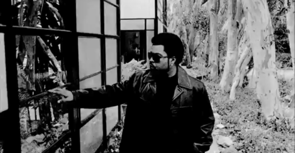 Going Green 1949 Style: Ice Cube Celebrates the Eames - The Atlantic