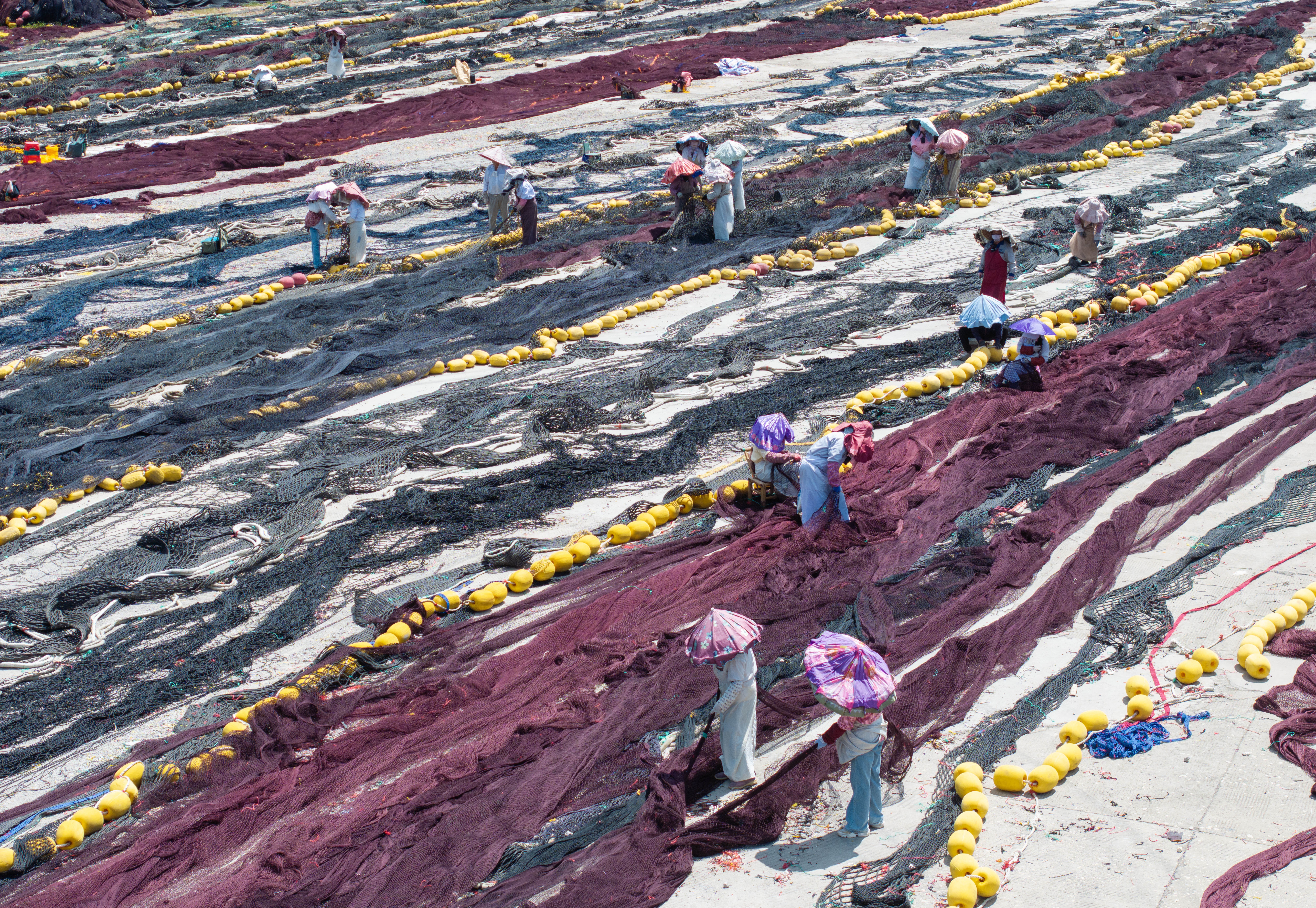 Workers attend to fishing nets that have been laid out in long lines on pavement.