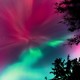 A view of the northern lights, looking straight up at swirls of pink and green lights
