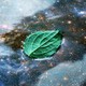 A green leaf floating on water, over which a blue-and-gold image of a galaxy has been laid