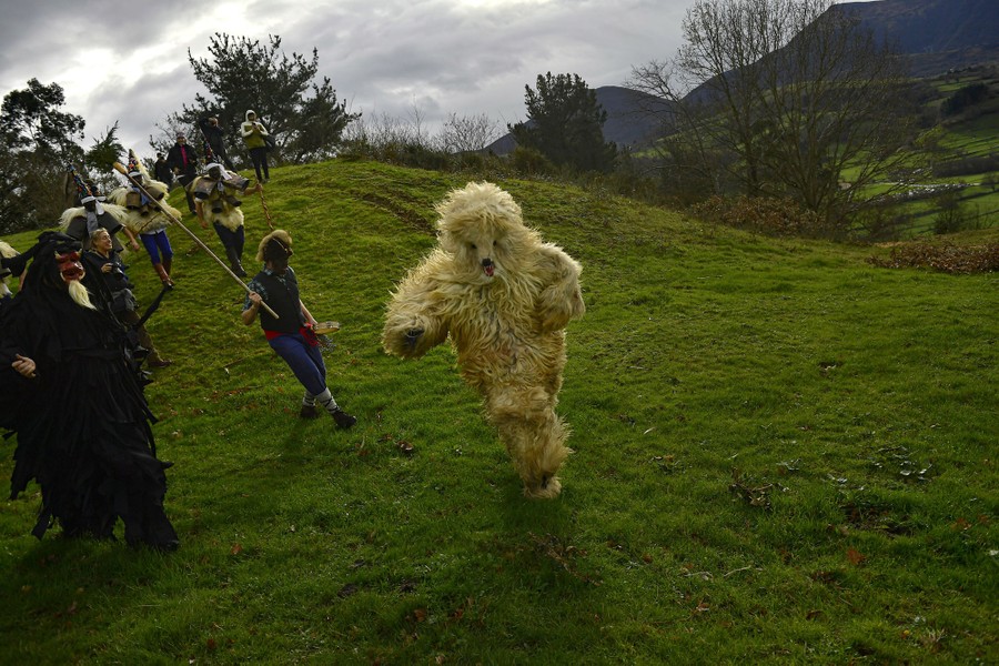 A person in a bear costume runs down a grassy hill.