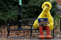 A man dressed as Big Bird from Sesame Street sits alone on a park bench. 