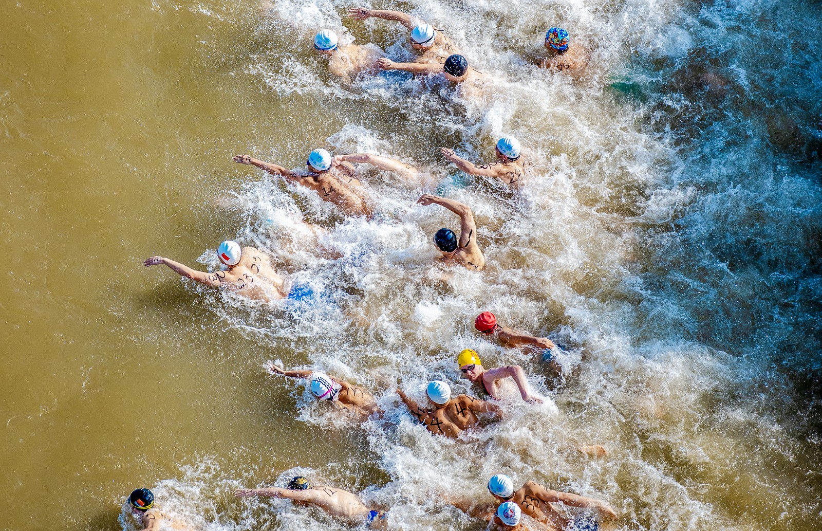 An overhead view of swimmers in a race in a river.