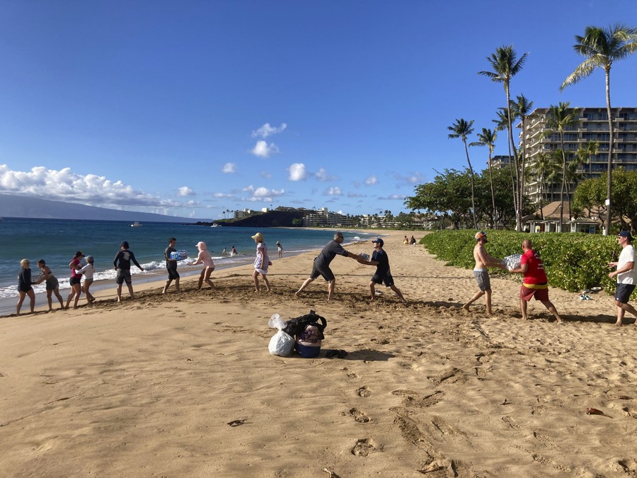 People stand in a line on a beach, handing supplies from one to the other.