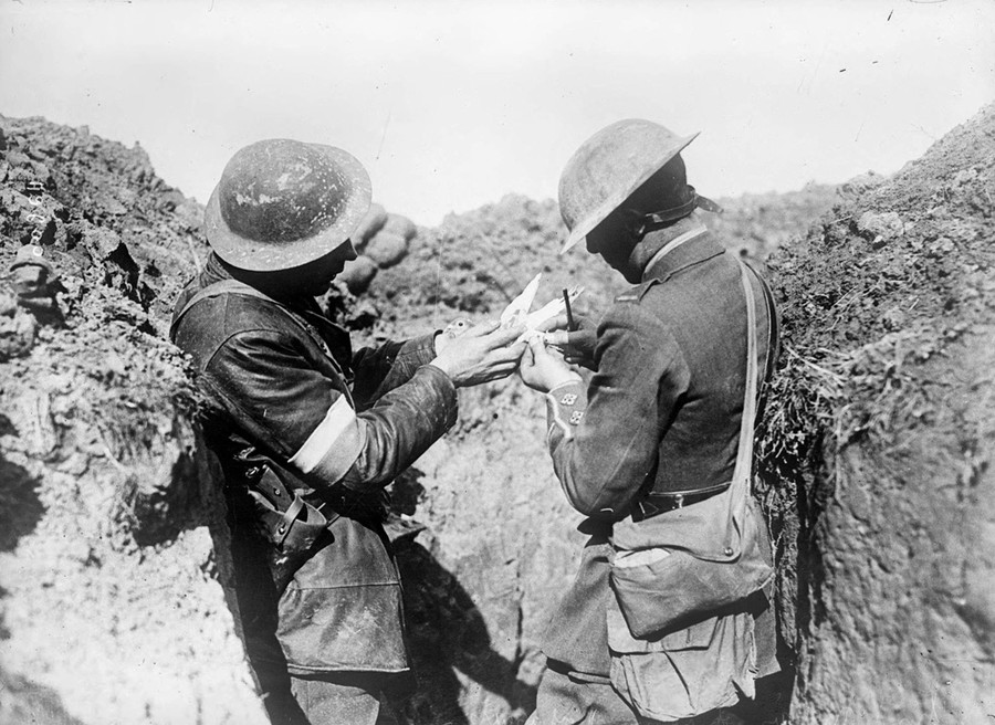 pix World War 1 Photos Animals In The War The Atlantic world war i in photos animals at war