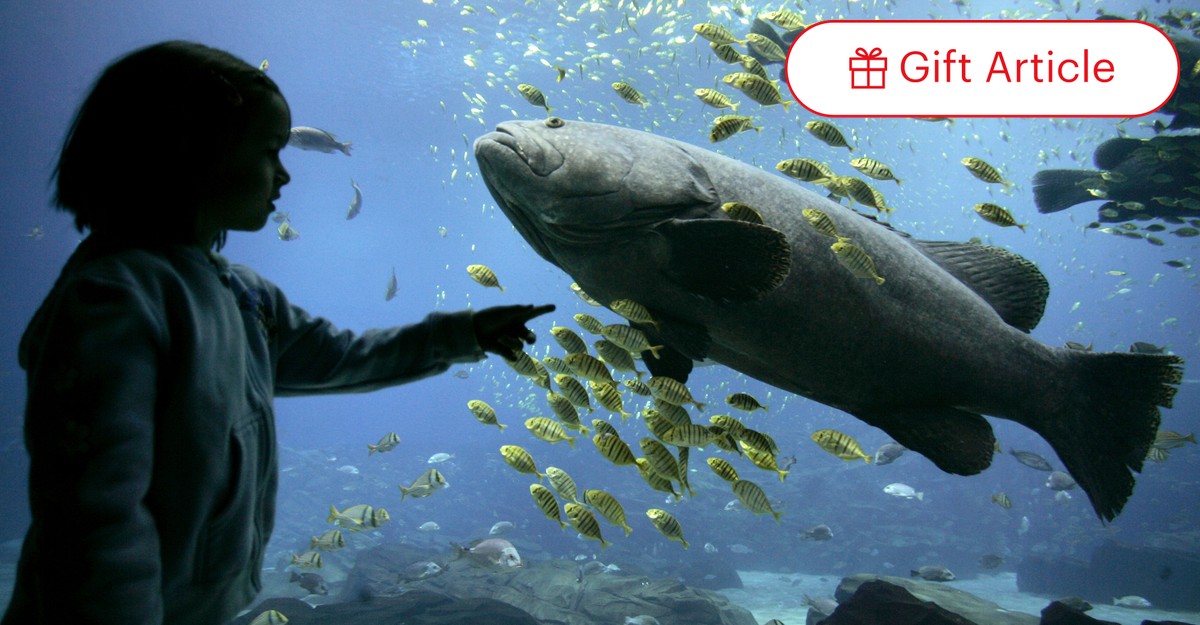Franklin aquarium pet best sale store