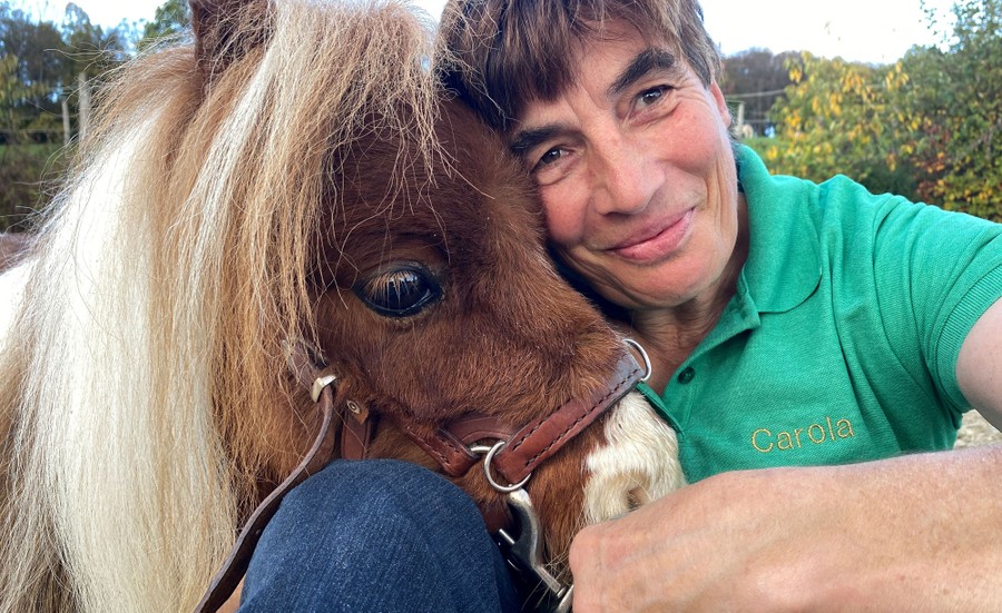 A person sits and cuddles with a very small pony.