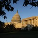 The U.S. capital surrounded by leaves