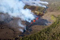 A fissure in a wooded area of Hawaii leaking bright-orange lava