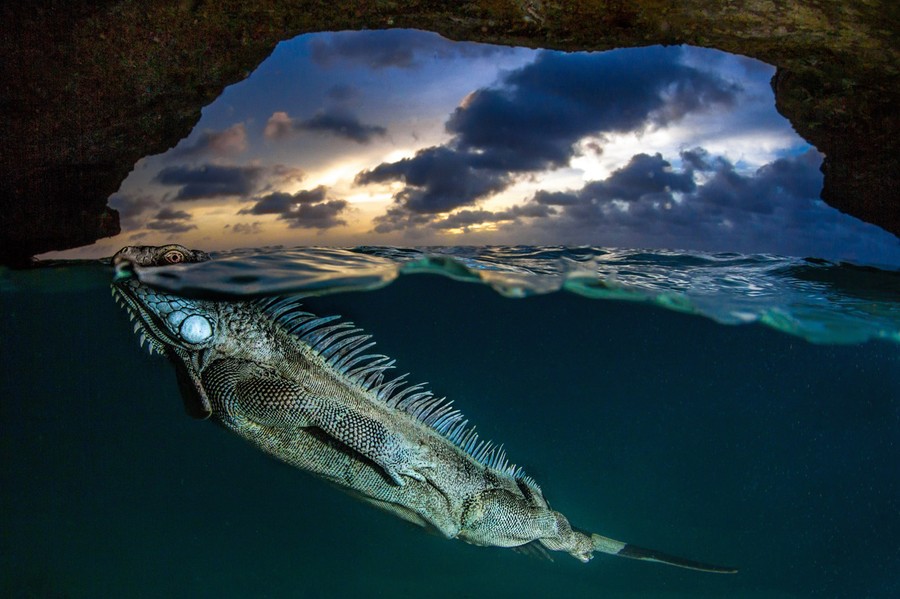 2014 National Geographic Photo Contest - The Atlantic