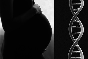 a black and white image of a pregnant belly, next to a DNA helix