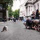 Members of the press photograph a dead mouse caught by Larry the cat, who sits nearby.