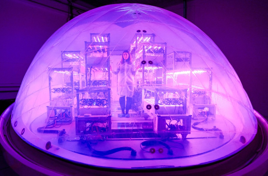 A person stands inside a hemispheric plastic shell, beside racks of plants and equipment, bathed in purplish light.