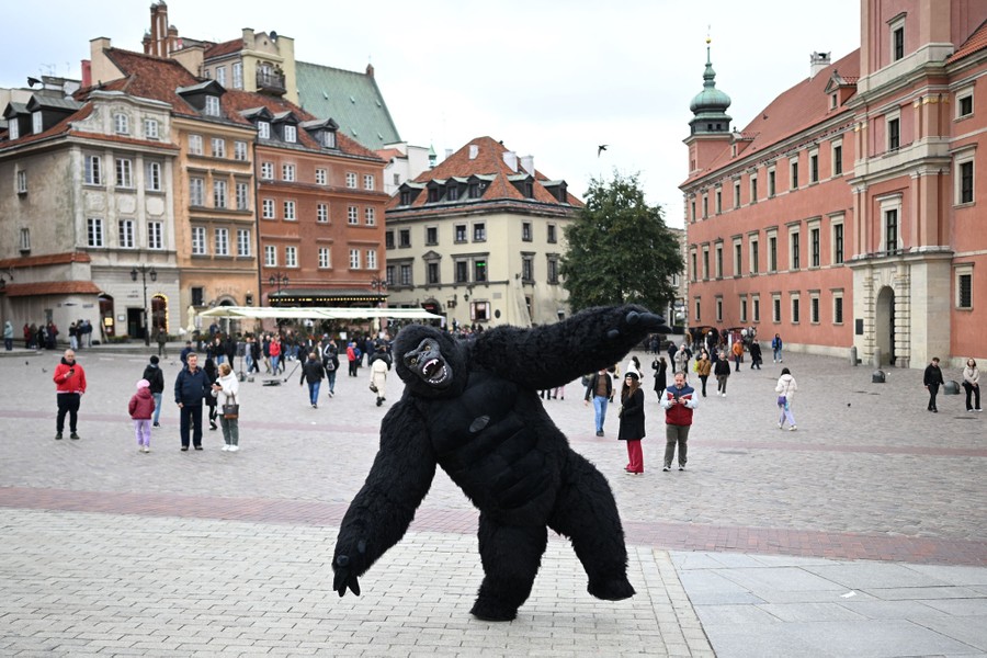 A person wearing a gorilla costume performs in a city square.