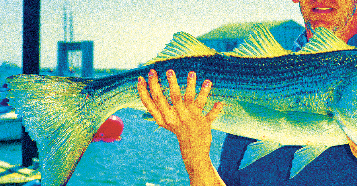 cdn.theatlantic.com image