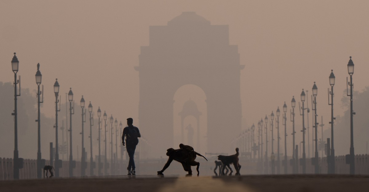 Photos: India’s Polluted Skies