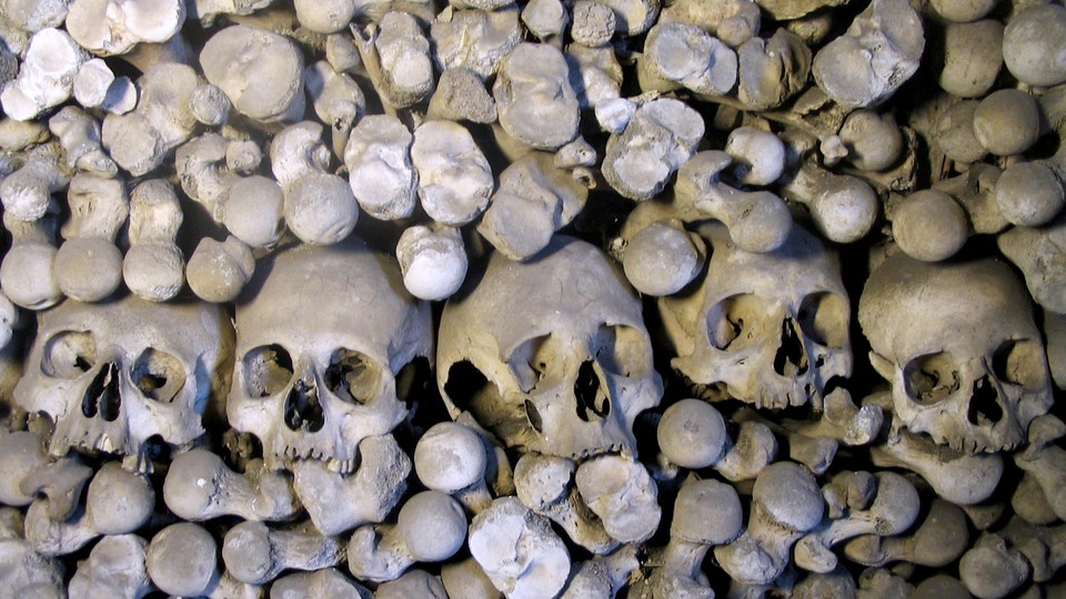 An image of skulls