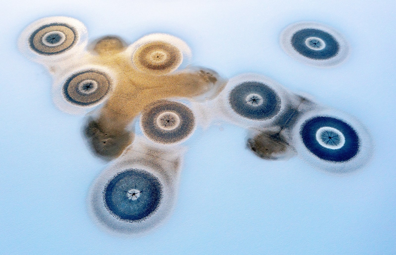 Circular shapes, formed into ice on a frozen body of water