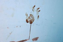 A bloody handprint in an Israeli kibbutz