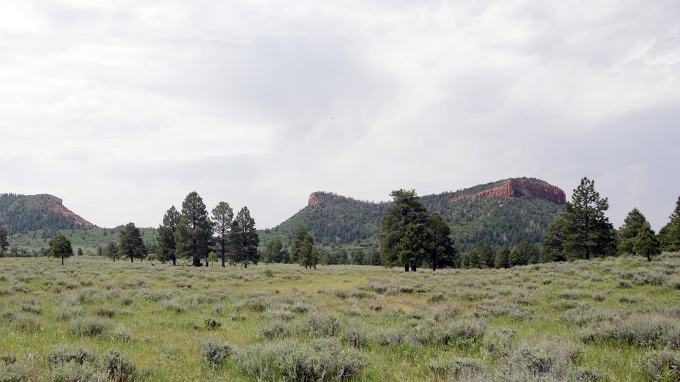 The Good and the Bad of Obama's New Bears Ears Monument in Utah - The ...