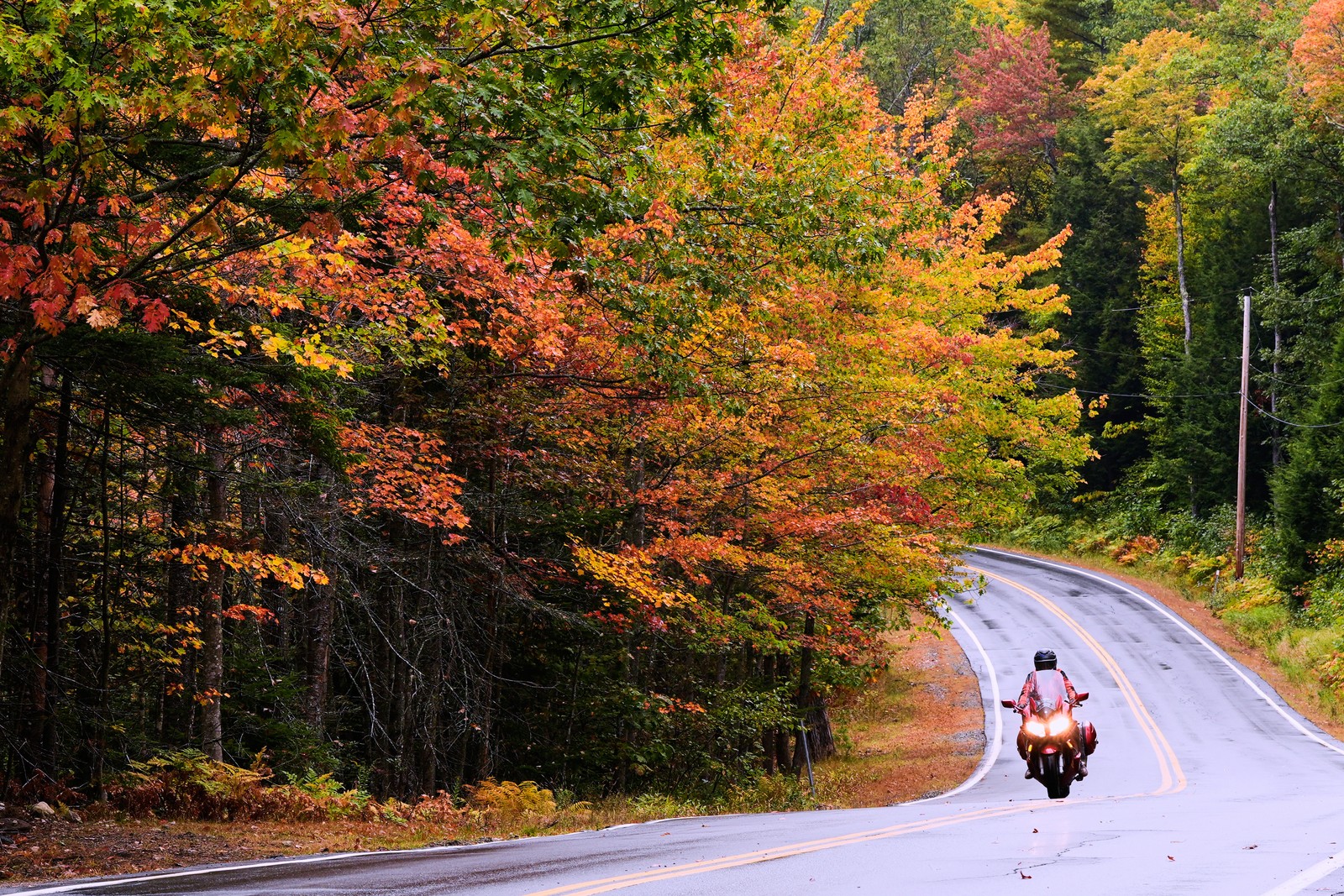 A motorcyclist rides on a two-lane highway past trees with fall colors.