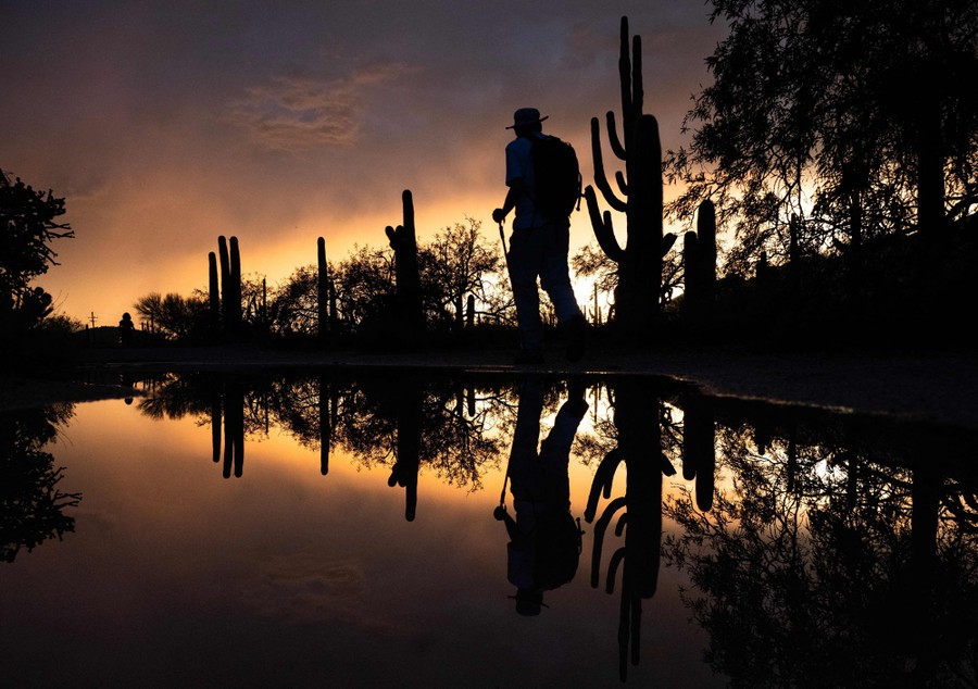 A man's silhouette is reflected in a pool of water as he walks on a trail.