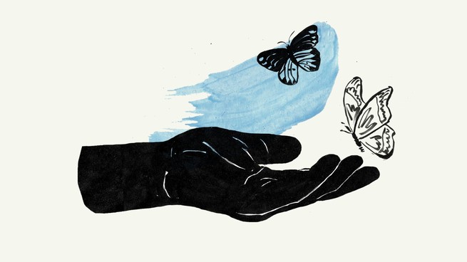 An illustration of a hand reaching out for butterflies