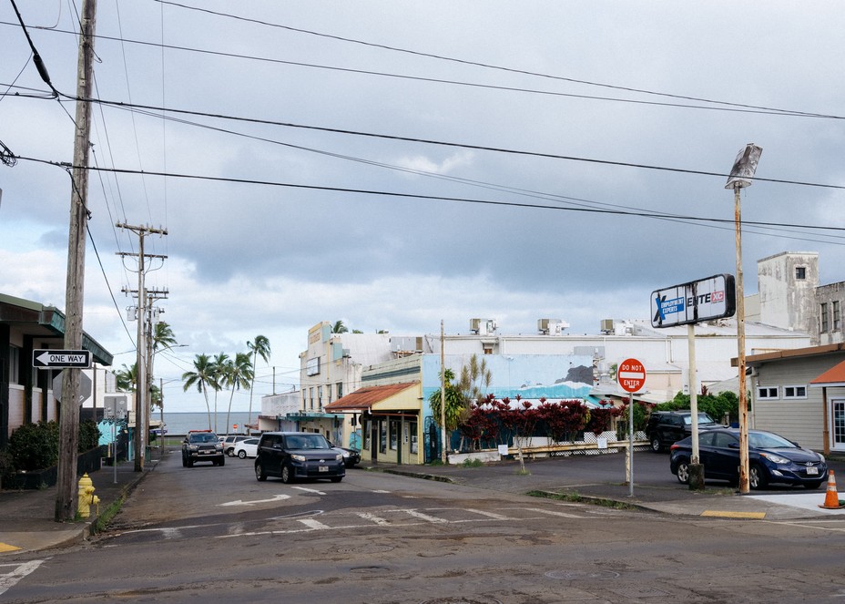 street scene with palm trees, store fronts and old signs