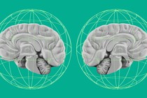 Illustrations of the brain
