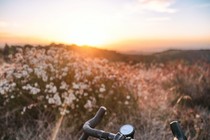 The handlebars of a bicycle in front of a natural, hilly background