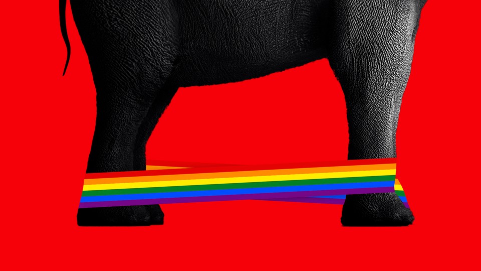 An elephant's feet tied with a rainbow cord