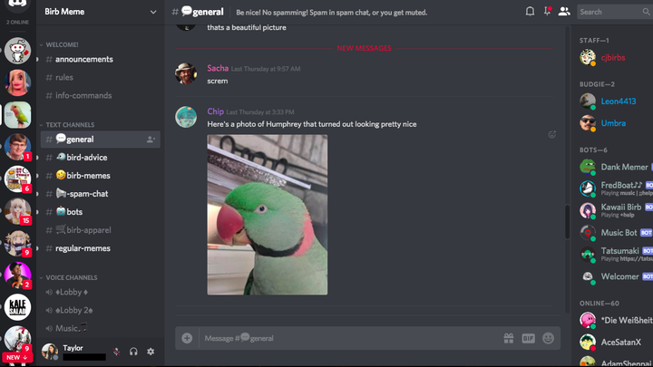 How To Add Bots To Discord Dms