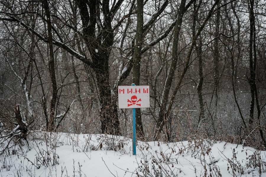 A sign is posted near a forest, with a skull and crossbones on it.