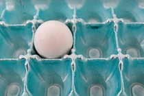 a lone egg in an eggshell blue carton