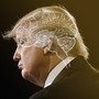 A profile of Donald Trump with the shape of a brain superimposed