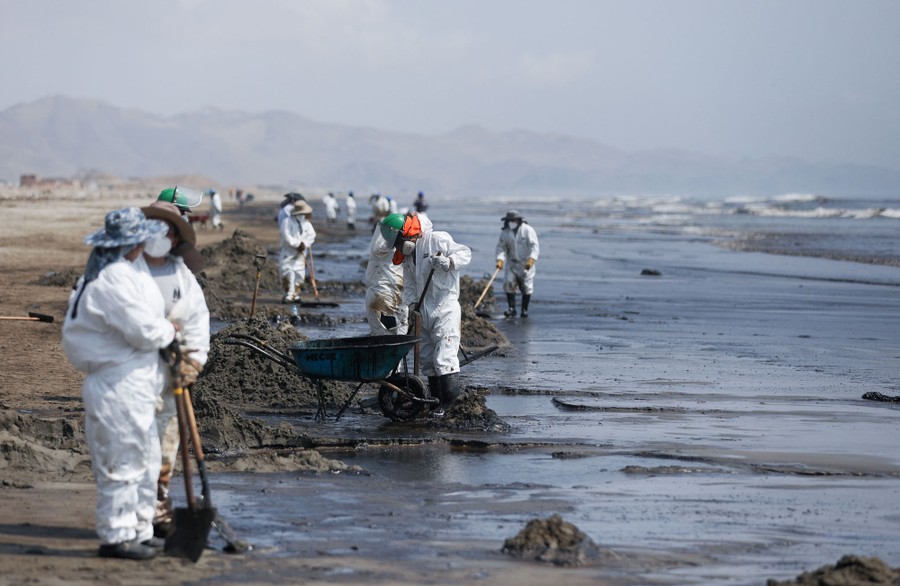 Dozens of cleanup workers are seen at the water's edge along a broad beach.