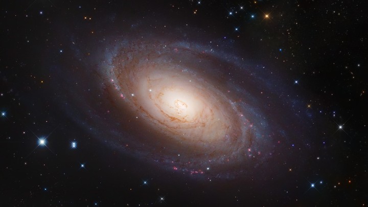 Galactic Evolution And The Meaning Of Life The Atlantic