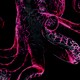 Sketch of a pink octopus with flecks of other colors