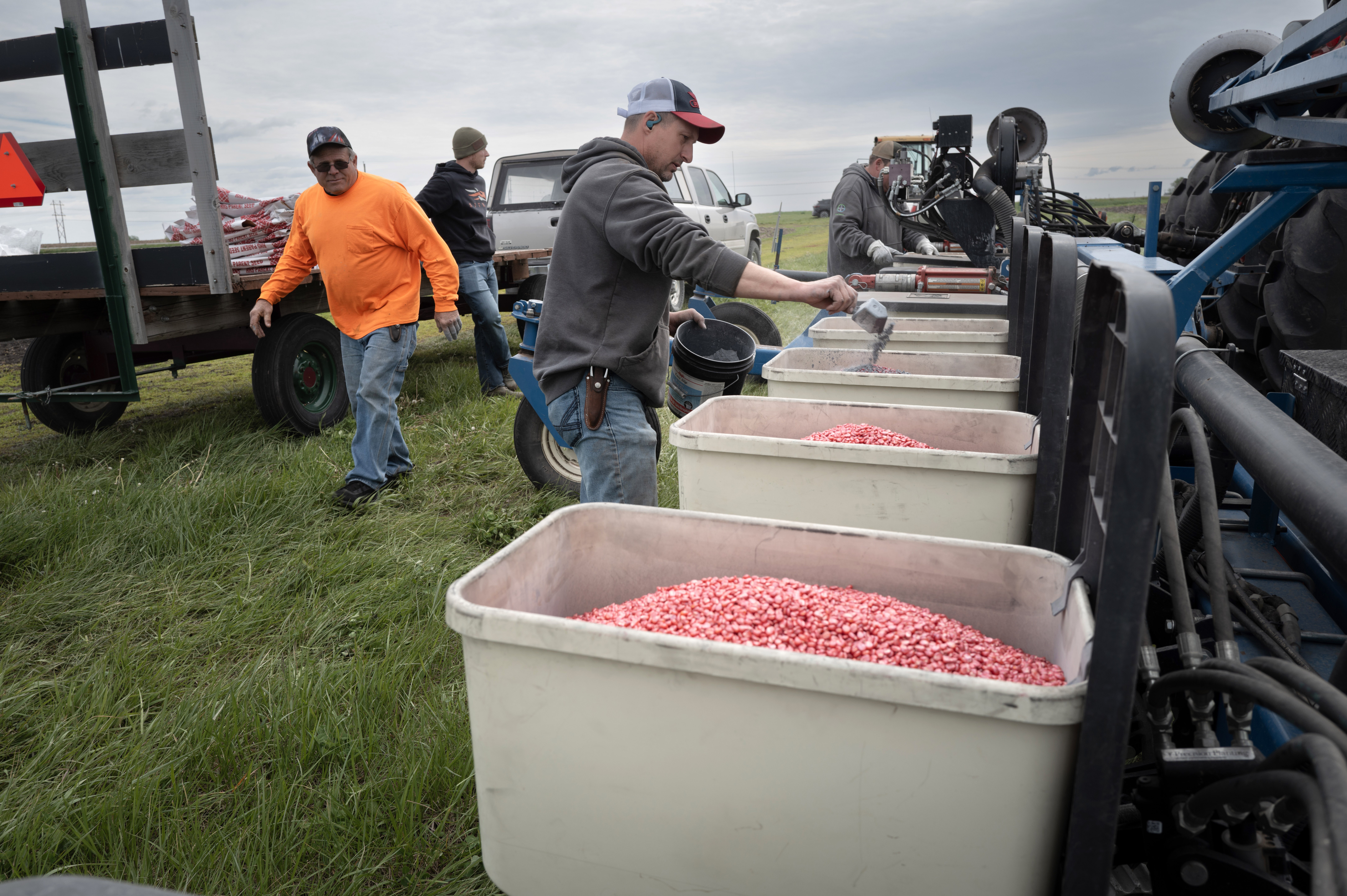 Farm workers place seeds into bins attached to a large piece of farm machinery.