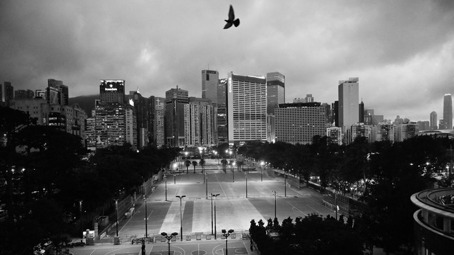 A pigeon flies over a deserted Victoria Park in Hong Kong
