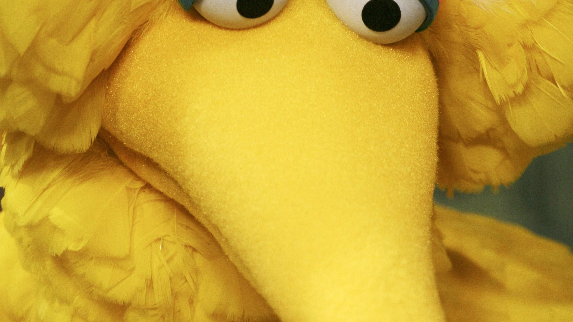 The Muppet Theory That Explains Humanity - The Atlantic