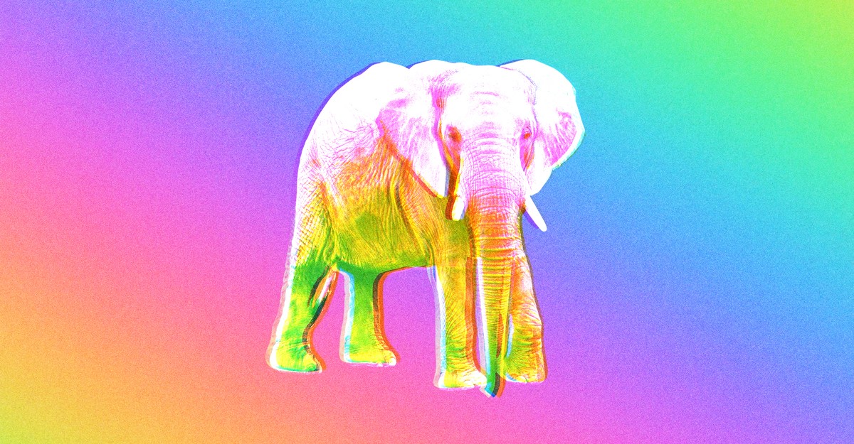 The Republican Psychedelics Whisperer