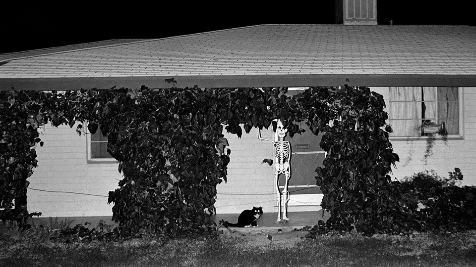 An image of a house decorated for Halloween with a skeleton and black cat in front of it.