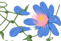 Illustration of a flower with a knotted stem that is plucking off the petals of the very flower it is part of.